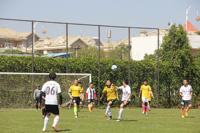 张镇麟因伤退出中国男篮集训 辽宁队致谢篮协